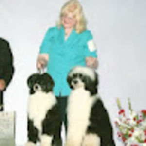 Meet your Posher, Sue